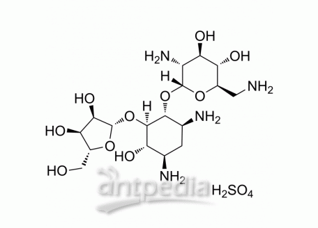 HY-B1228 Ribostamycin sulfate | MedChemExpress (MCE)