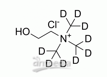 HY-B1337S1 Choline-d9 chloride | MedChemExpress (MCE)