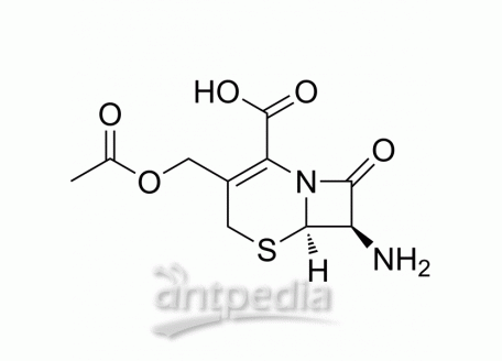 HY-B1434 7-Aminocephalosporanic acid | MedChemExpress (MCE)