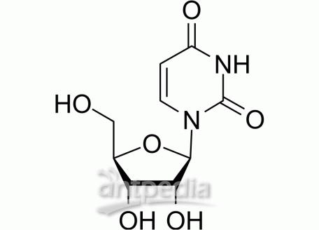 HY-B1449 Uridine | MedChemExpress (MCE)