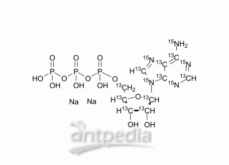 HY-B2176S1 ATP-13C10,15N5 disodium | MedChemExpress (MCE)