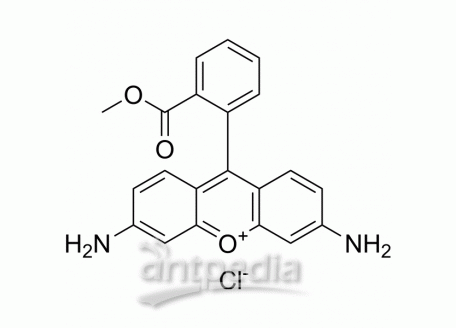 Rhodamine 123 | MedChemExpress (MCE)