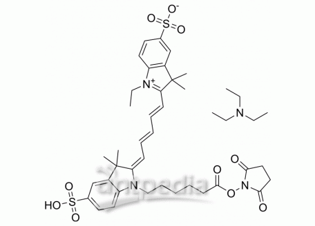 HY-D0819A CY5-SE triethylamine salt | MedChemExpress (MCE)