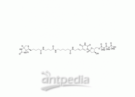 Biotin-16-dUTP trisodium | MedChemExpress (MCE)