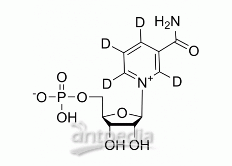 β-Nicotinamide mononucleotide-d4 | MedChemExpress (MCE)