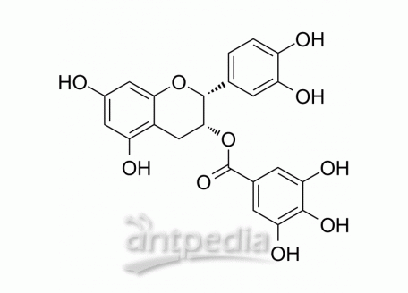 HY-N0002 (-)-Epicatechin gallate | MedChemExpress (MCE)
