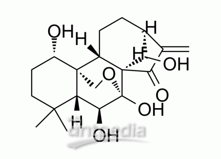 HY-N0004 Oridonin | MedChemExpress (MCE)