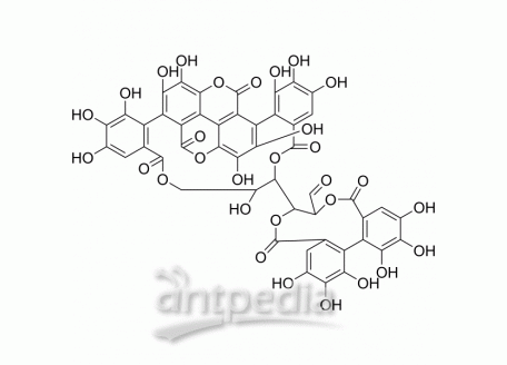 HY-N0063 Punicalagin | MedChemExpress (MCE)