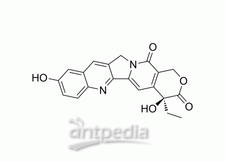 (S)-10-Hydroxycamptothecin | MedChemExpress (MCE)