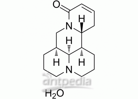 HY-N0103A Sophocarpine monohydrate | MedChemExpress (MCE)