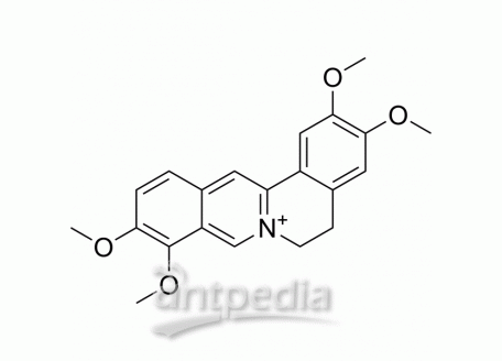 HY-N0110A Palmatine | MedChemExpress (MCE)