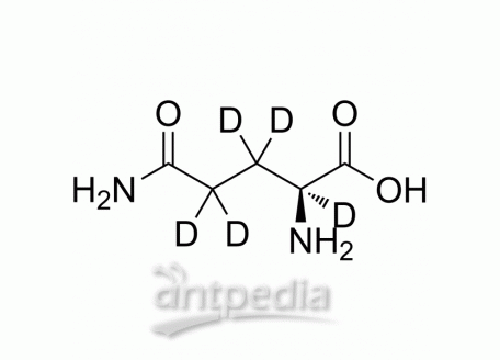 L-Glutamine-d5 | MedChemExpress (MCE)