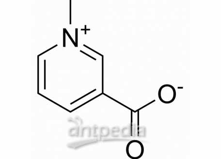 HY-N0414 Trigonelline | MedChemExpress (MCE)