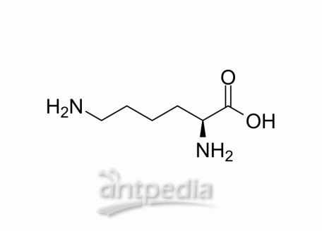 L-Lysine | MedChemExpress (MCE)