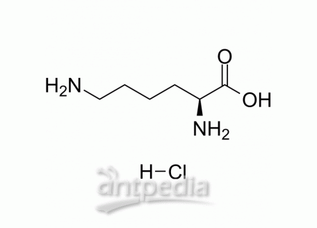 L-Lysine hydrochloride | MedChemExpress (MCE)