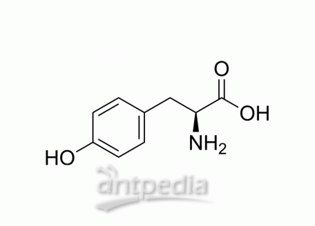L-Tyrosine | MedChemExpress (MCE)