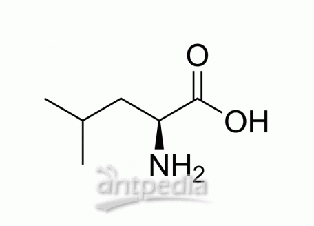 HY-N0486 L-Leucine | MedChemExpress (MCE)