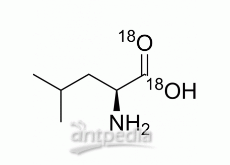 L-Leucine-18O2 | MedChemExpress (MCE)