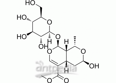 HY-N0532 Morroniside | MedChemExpress (MCE)