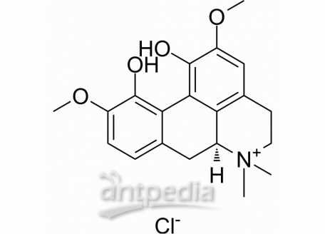 (+)-Magnoflorine chloride | MedChemExpress (MCE)