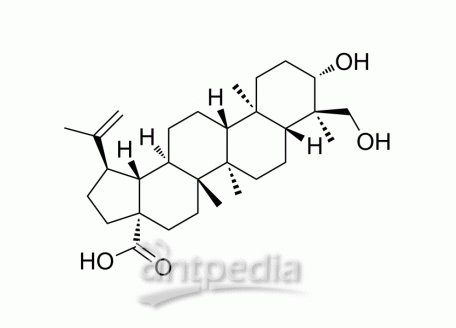 23-Hydroxybetulinic acid | MedChemExpress (MCE)