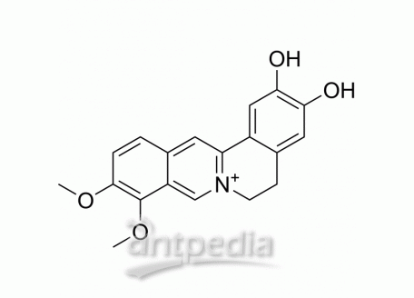 HY-N0592 Demethyleneberberine | MedChemExpress (MCE)