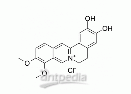 HY-N0592A Demethyleneberberine chloride | MedChemExpress (MCE)