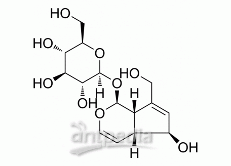 HY-N0664 Aucubin | MedChemExpress (MCE)