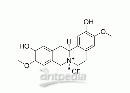 Phellodendrine chloride | MedChemExpress (MCE)