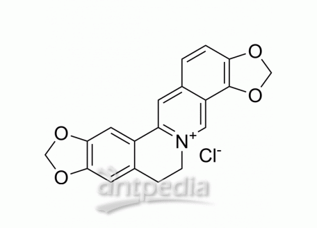 HY-N0736 Coptisine chloride | MedChemExpress (MCE)