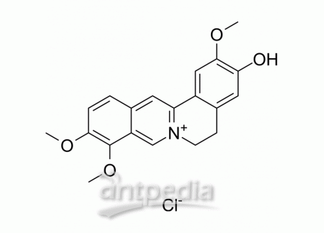Jatrorrhizine chloride | MedChemExpress (MCE)