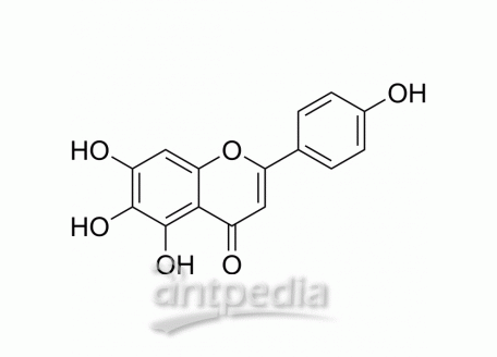 HY-N0752 Scutellarein | MedChemExpress (MCE)