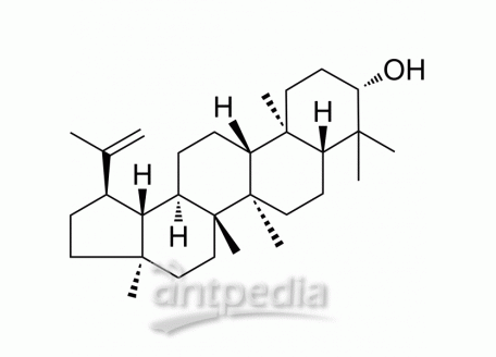 HY-N0790 Lupeol | MedChemExpress (MCE)