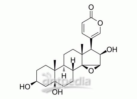 HY-N0882 Desacetylcinobufotalin | MedChemExpress (MCE)