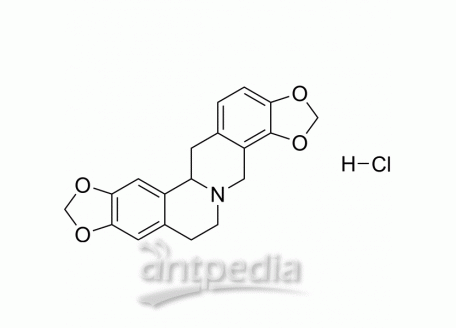 (±)-Stylopine hydrochloride | MedChemExpress (MCE)