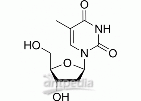 HY-N1150 Thymidine | MedChemExpress (MCE)