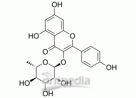HY-N1441 Afzelin | MedChemExpress (MCE)