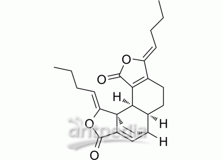 HY-N1472 Levistolide A | MedChemExpress (MCE)