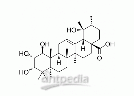 1β-Hydroxyeuscaphic acid | MedChemExpress (MCE)