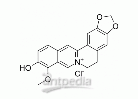 Thalifendine chloride | MedChemExpress (MCE)