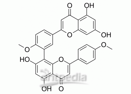 HY-N2117 Isoginkgetin | MedChemExpress (MCE)