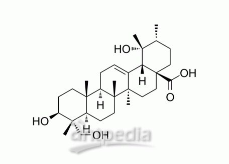 Rotundic acid | MedChemExpress (MCE)