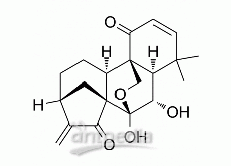 HY-N2303 Eriocalyxin B | MedChemExpress (MCE)