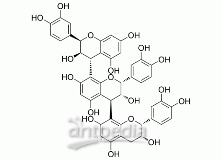 HY-N2342 Procyanidin C1 | MedChemExpress (MCE)