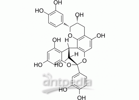 HY-N2343 Procyanidin A2 | MedChemExpress (MCE)