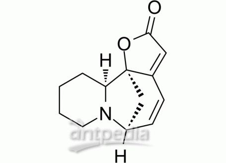 HY-N2377 Allosecurinine | MedChemExpress (MCE)