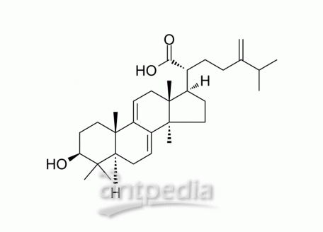 HY-N2490 Dehydrotrametenolic acid | MedChemExpress (MCE)