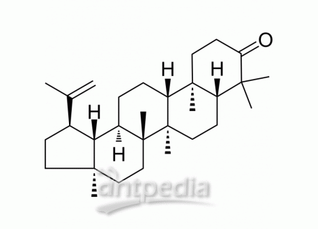 HY-N2590 Lupenone | MedChemExpress (MCE)