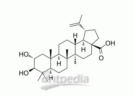HY-N2855 Alphitolic acid | MedChemExpress (MCE)