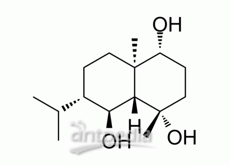 HY-N3241 Mucrolidin | MedChemExpress (MCE)